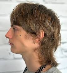 The Mod Cut Hairstyle: A Complete Guide to Modern and Classic Looks image